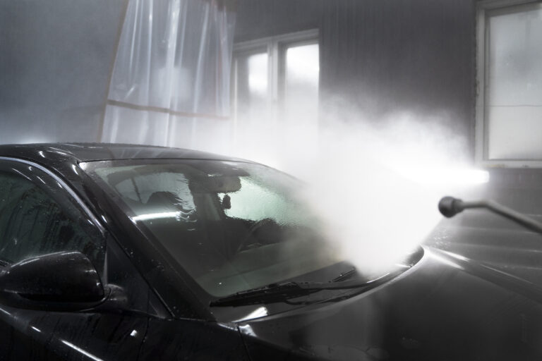 5 best steam cleaners for car detailing ,5 Best Steam Cleaners for Car Detailing in 2024 – Expert Picks dupray neat steam cleaner,bissell steamshot, car detailing, car detailing, heavy duty cleaner, tampa car detailing,